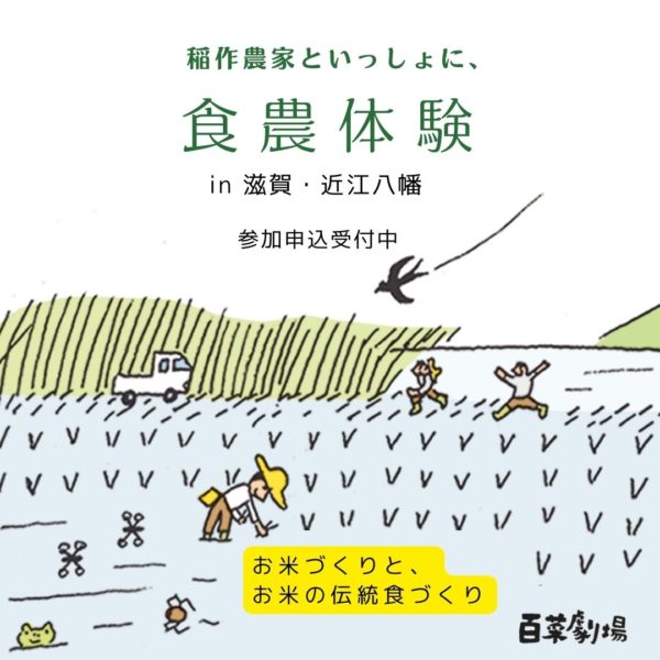 稲作農家といっしょに、食農体験 in 滋賀・近江八幡
